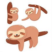 Sloth Lucu Imut Dan Cantik